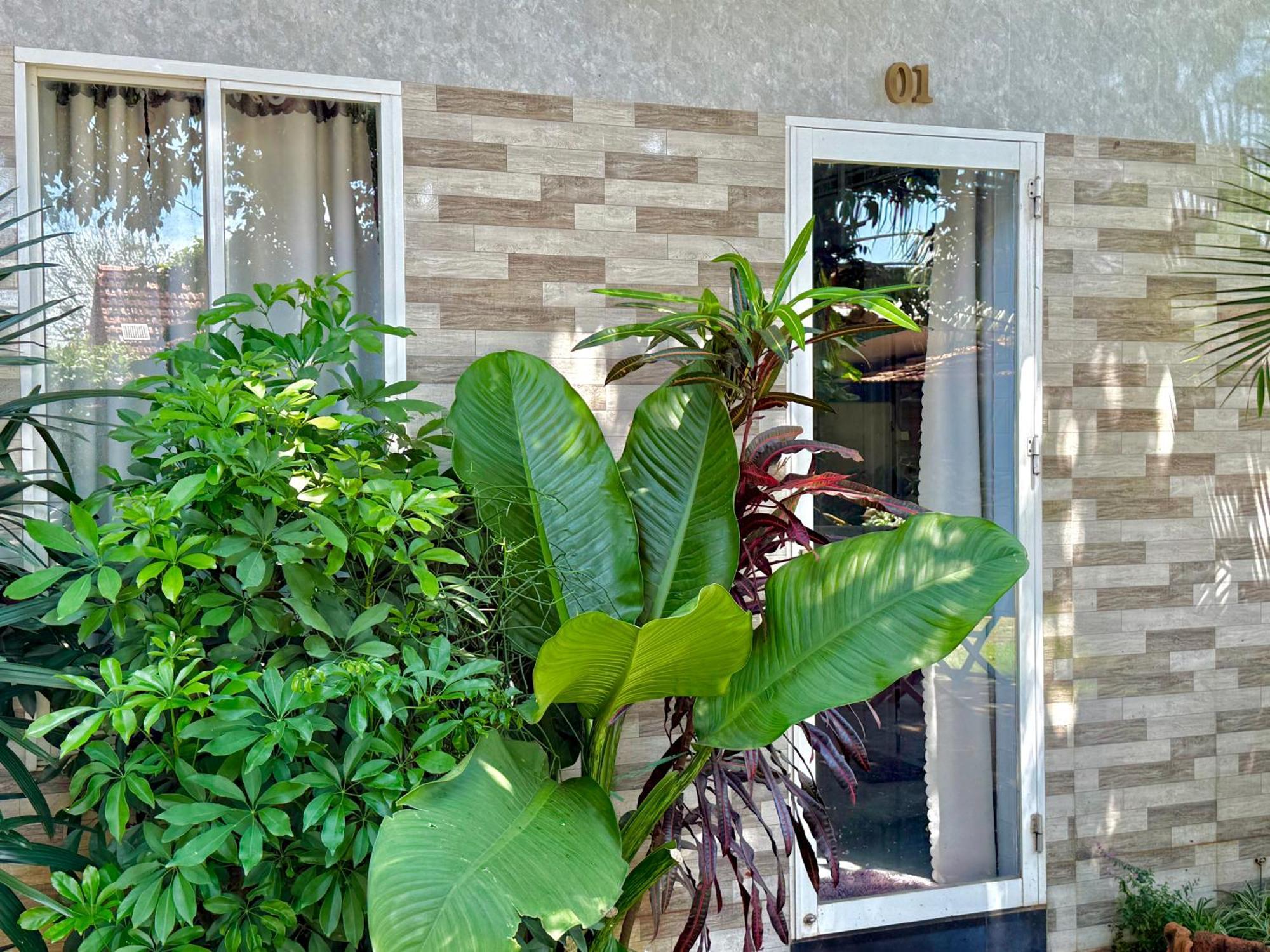 Ho Coc Homestay Екстер'єр фото