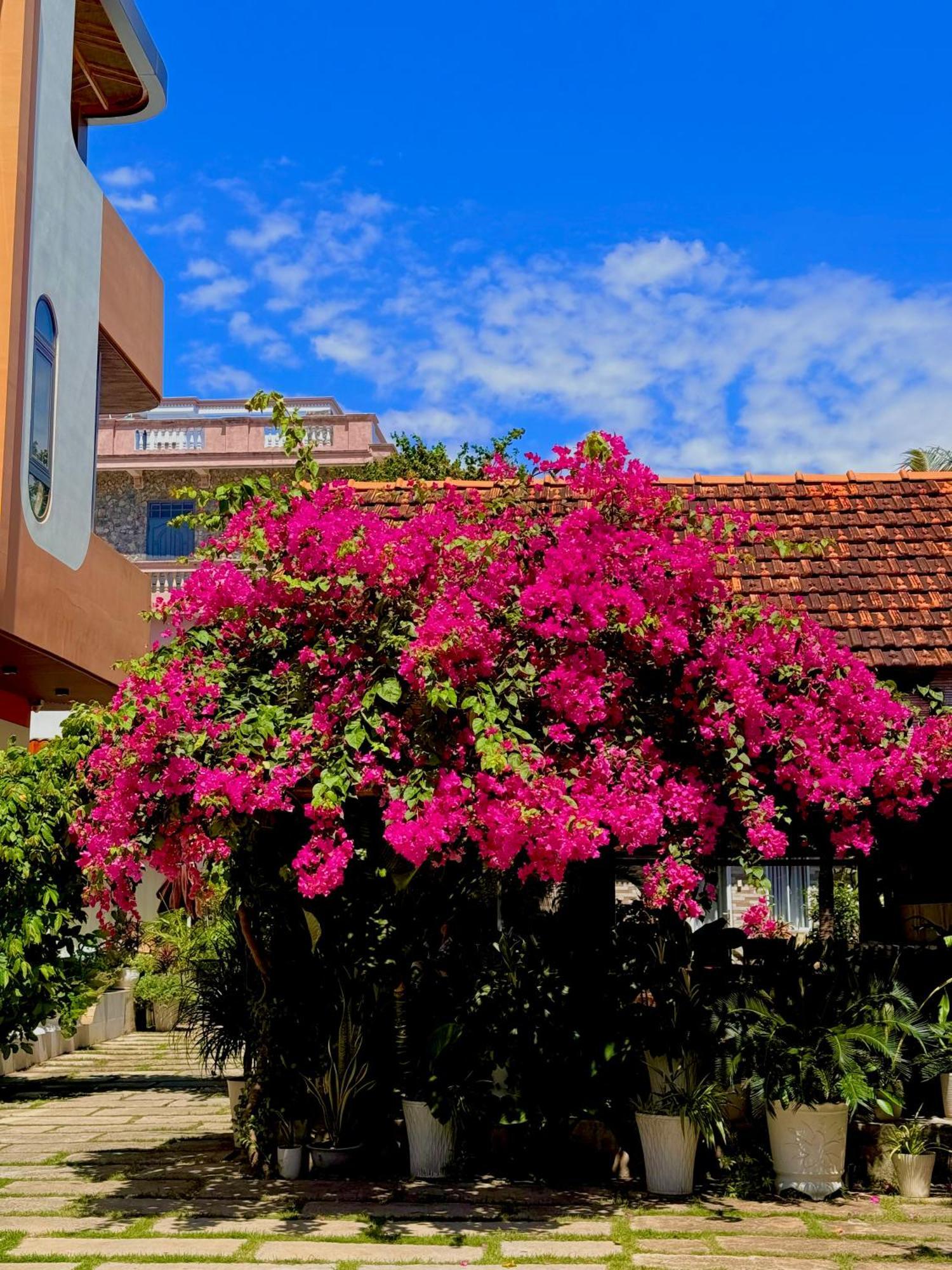 Ho Coc Homestay Екстер'єр фото